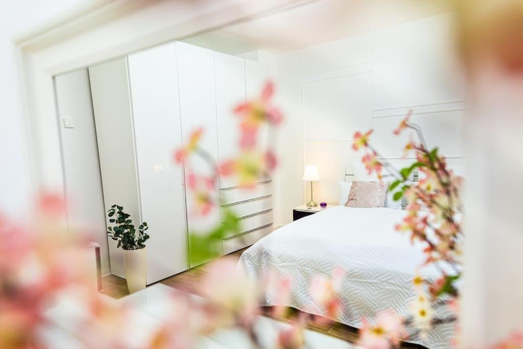 Charmante Wohnung In Koblenzer Innenstadt Koblenz  Buitenkant foto